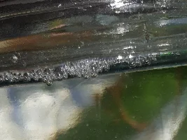 Clamped Fin Lethargic Betta