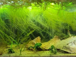 A few random pictures from the past week or so