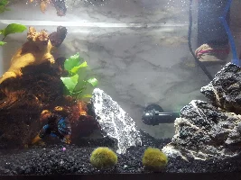Bubbler and hardscape acquired B)