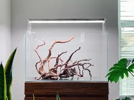 16g planted aquarium build