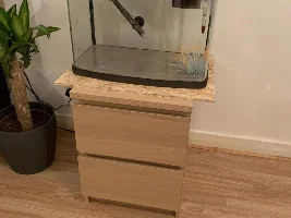 Acceptable fish stand