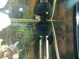 My Journey To Fish Keeping...