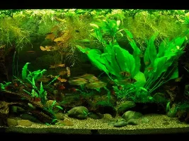 Substrate