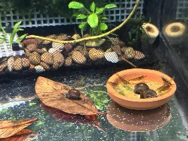 Tanks, Glass boxes and Waterbowls