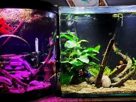 My Managerie of Tanks