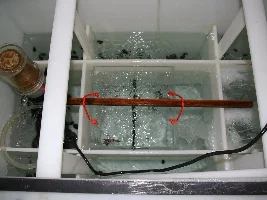 Antarctic Marine Aquarium