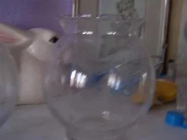 These Petstores Are Making Me Mad