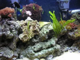 My Tank With Not As Many Mistakes