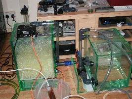Planted tank for tetras (slow burn)