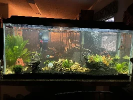 Hi everyone! New here!