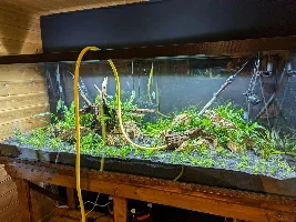 My new 193 Gallon Planted Build