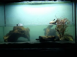 Finally tearing down ugly 57g, building new 36g to replace it!