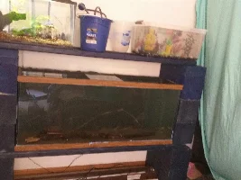 42 gallon build