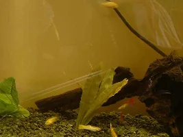 Update!