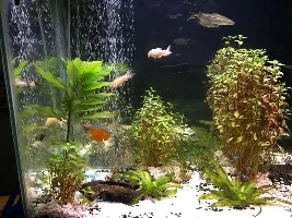 What Kind Of Lighting..suggestion Please