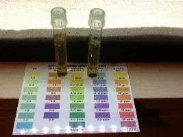 Safe Level of Chemicals in New Tank