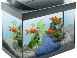 Automatic fish feeders