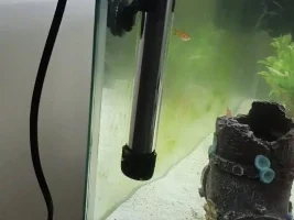 New to tropical fish, help?