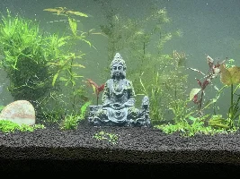 Need some advice on seeds