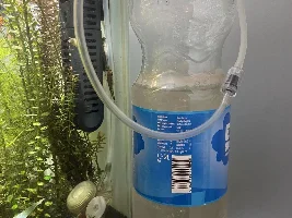 Show me your cube tanks!!