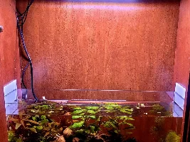 My nano build