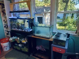 Six gallon UNS tank redo