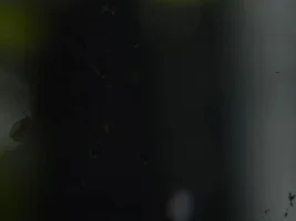 ID? (solved)