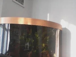 Moving house and my lovely Corner tank and fish must go