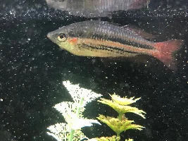 Help! Strange Things Going on in Tank