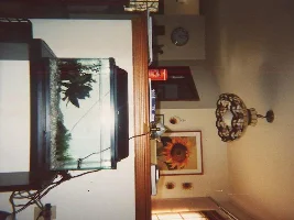 my fishtank