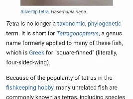 I just discovered I've never kept a Corydoras
