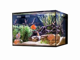 Where to find a 90 or 100 gallon aquarium and stand (no canopy) for a reasonable price Oh and how to you store your RO/DI water?