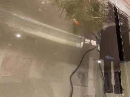 148.6L (39.2 gallon) aquarium journal