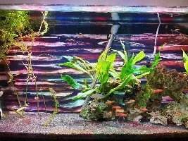 Liquid co2