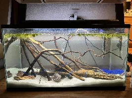 Rio Ucayali Biotope Project