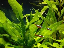 gf225's new lighting