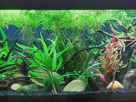 River Creek 22g