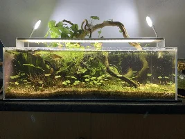 ADA 60F v2.0