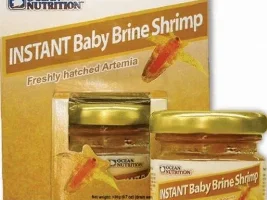 What are your fishies' favorite foods?