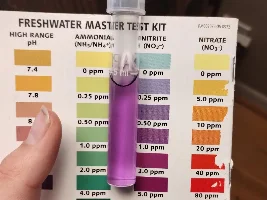 Disaster in my tanks...help!!!!!