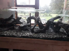 Help me choose my hardscape