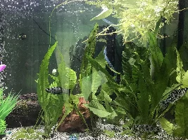 Swapping from gravel to sand