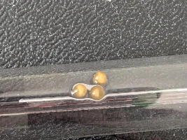 Help id'ing round things in aquarium?