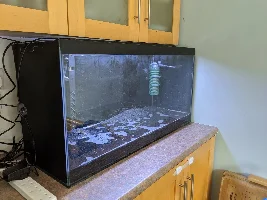 A place 4 my questions & ponderings as I build a 34 Gallons (127L) tank
