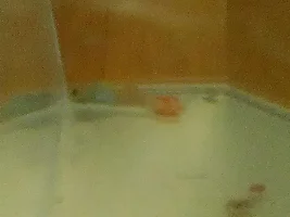 My guppy has a hump on his back