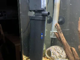 Christmas for fish lovers! What did you get?