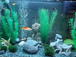 Introduction