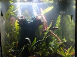 Final tank touches... sort of...