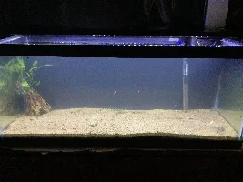 Aquascaper 20g