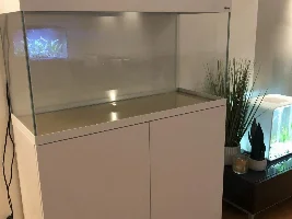 200 Litre set up…